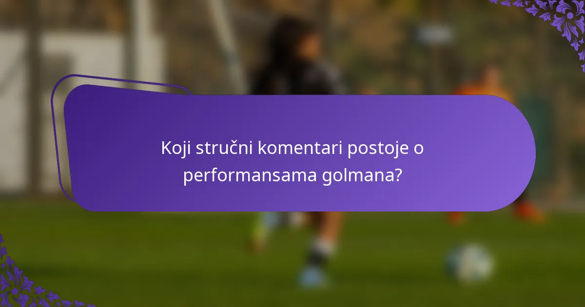 Koji stručni komentari postoje o performansama golmana?