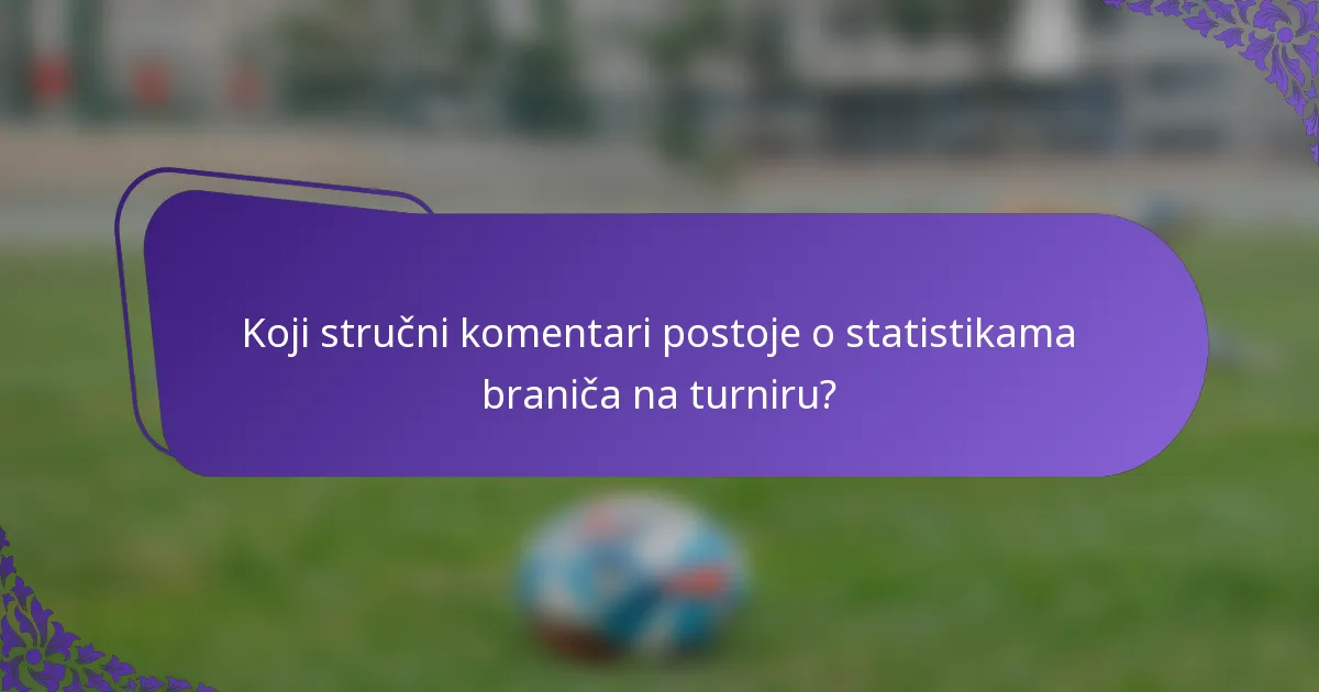 Koji stručni komentari postoje o statistikama braniča na turniru?